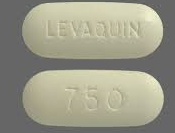 Levaquin online